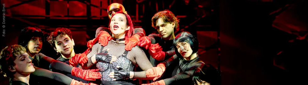 Peter Plate, Ulf Leo Sommer & Joshua Lange: Wir sind am Leben: Das Musical