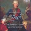 Wilhelm Friedemann Bach (1710-1784): Flötensonaten & Flötentrios, CD