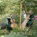 Details zum Titel Bremer Duo Cello & Harfe - Con Anima