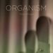 Details zum Titel Terje Winge - Organism