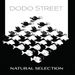 Details zum Titel Dodo Street