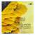 Budapest String Quartet - Sibelius / Debussy / Ravel / Lutoslawski