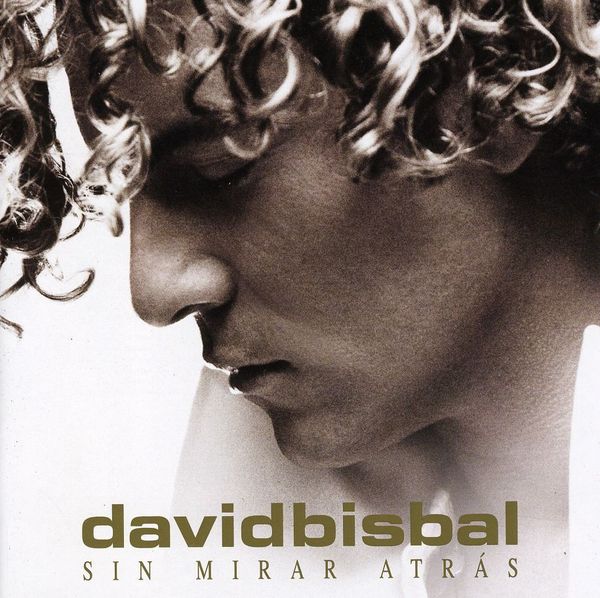 LETRAS DE CANCIONES DE DAVID BISBAL QUIEN ME IBA A letras de canciones de david bisbal quien me iba a: