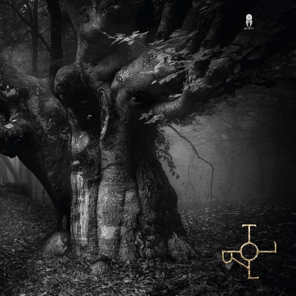Drott: Troll (Vinyl-LP)