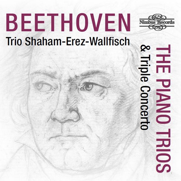 Ludwig van Beethoven: Klaviertrios Nr.1-7,11 (4 CDs)