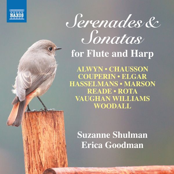Suzanne Schulman & Erica Goodman - Serenaden und Sonaten für ... (CD)