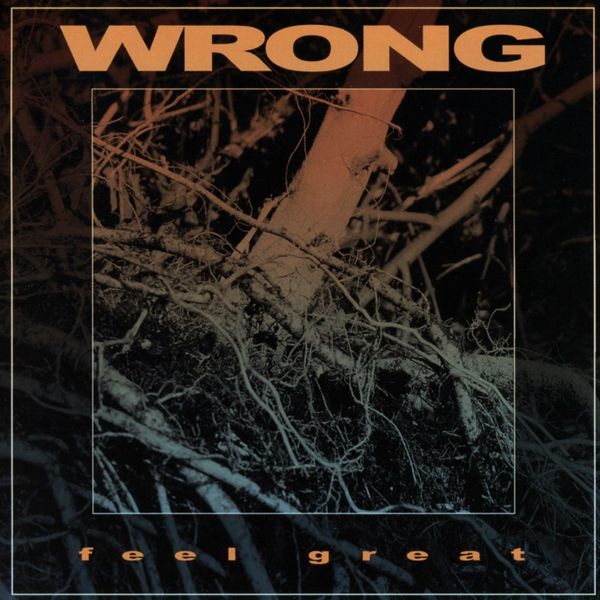 Wrong: Feel Great (CD)