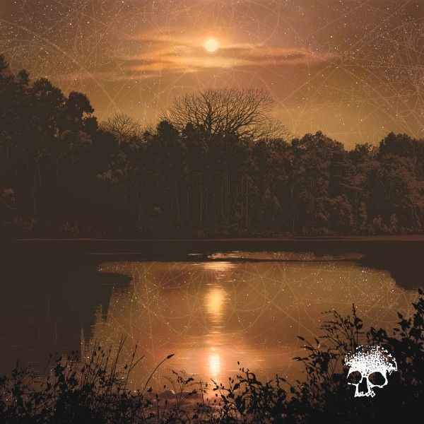 Planes Mistaken For Stars: Do You Still Love Me? (CD)
