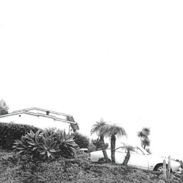 Timber Timbre: Hot Dreams (CD)