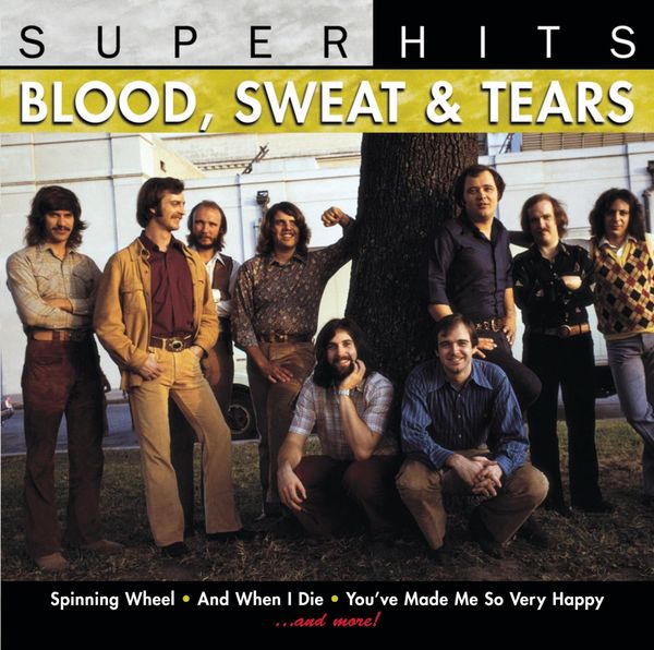 Blood, Sweat & Tears: Super Hits (CD)