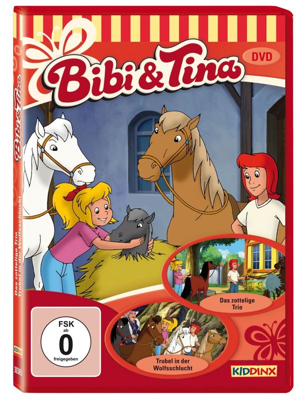 Bibi und Tina DVD 15 (DVD)