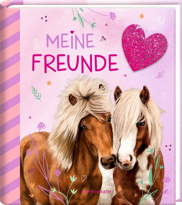 Freundebuch - Meine Freunde (Buch)