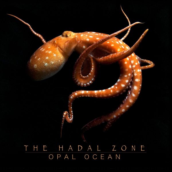 Opal Ocean: The Hadal Zone (CD)