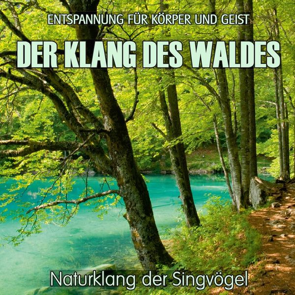 Der Klang des Waldes - Naturklang der Singvögel (ohne Musik) (CD)