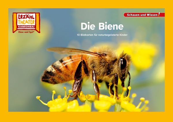 Die Biene / Kamishibai Bildkarten (Buch)