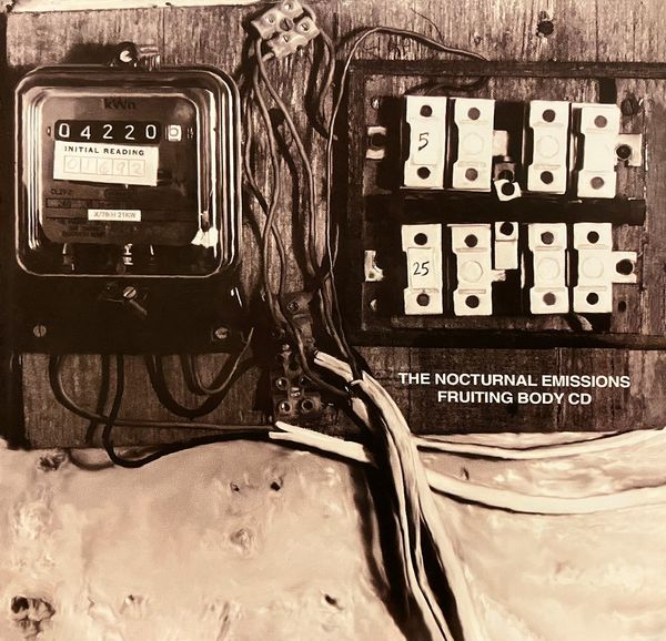 Nocturnal Emissions: Fruiting Body (Deluxe Edition) (2 CDs)