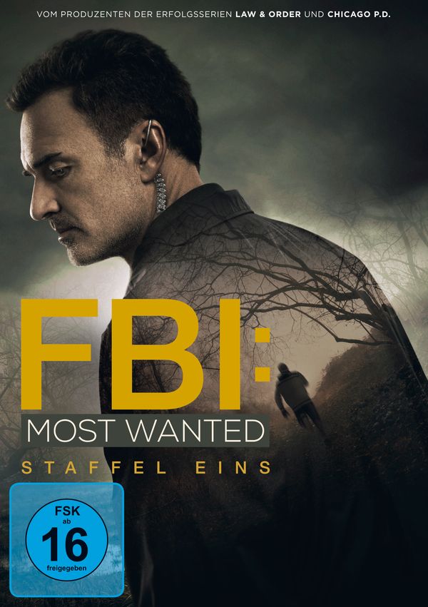 FBI: Most Wanted Staffel 1 (4 DVDs)