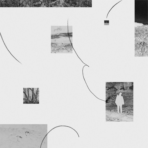 Hinako Omori: A Journey... (Vinyl-LP)