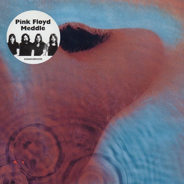 pink floyd meddle cover picture