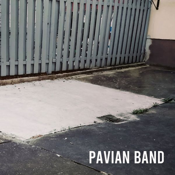 Pavian Band: Pavian Band (CD)