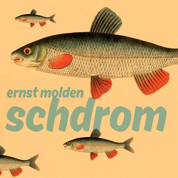 Ernst Molden: Schdrom (180g) (1 LP und 1 CD)