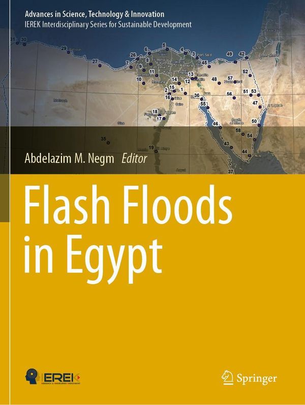 Flash Floods in Egypt (Buch)
