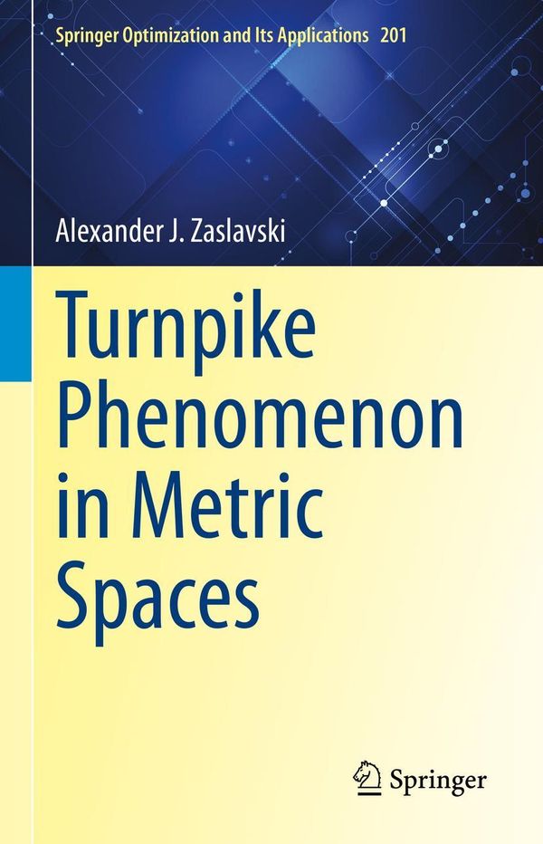Turnpike Phenomenon in Metric Spaces - Alexander J. Zaslavski (Buch)
