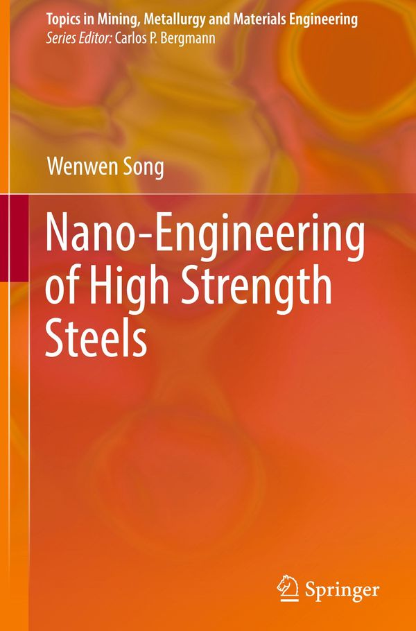 Nano-Engineering of High Strength Steels - Wenwen Song (Buch)