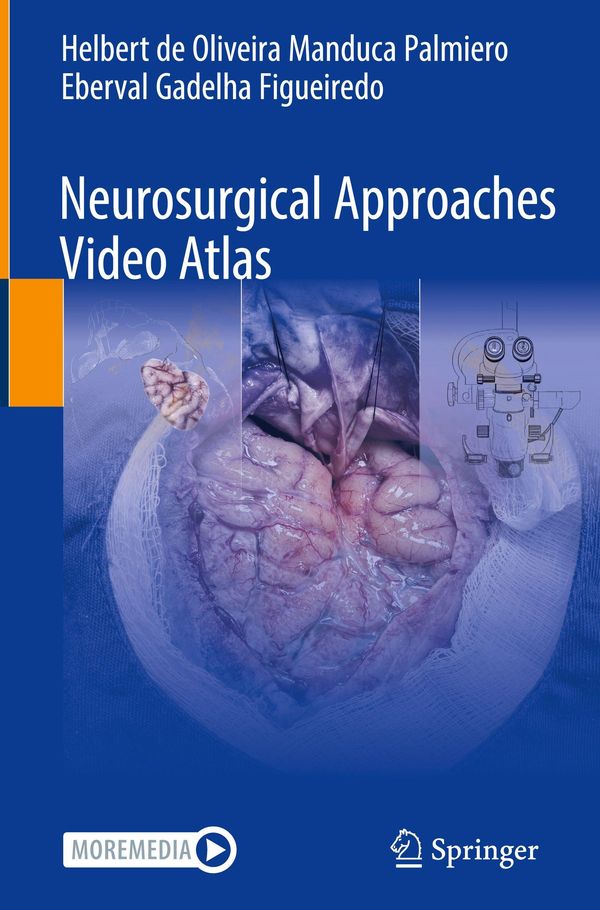Neurosurgical Approaches Video Atlas (Buch)
