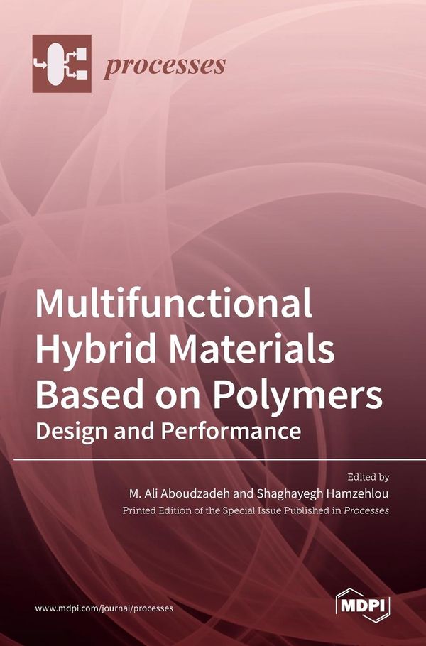 Multifunctional Hybrid Materials Based on Polymers - Tbd (Buch)