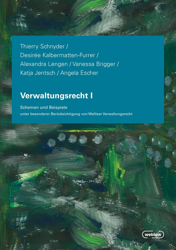 Verwaltungsrecht I: Schemen und Beispiele unter besonderer Berücksi...