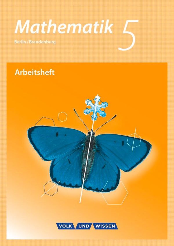 Mathematik 5. Schuljahr. Arbeitsheft mit eingelegten Lösungen. Grun...
