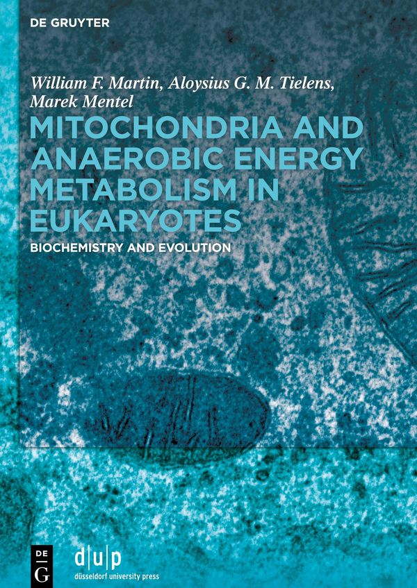 Mitochondria and Anaerobic Energy Metabolism in Eukaryotes (Buch)