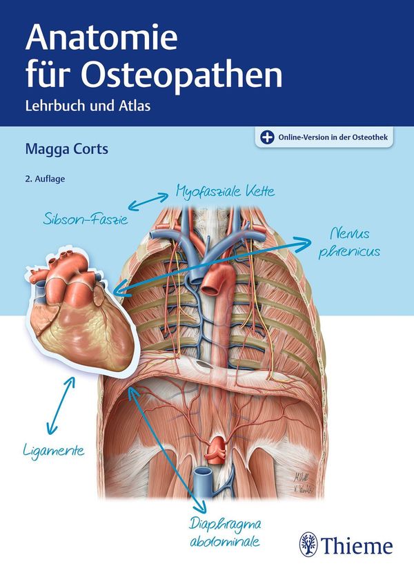 Anatomie für Osteopathen - Magga Corts (Buch)
