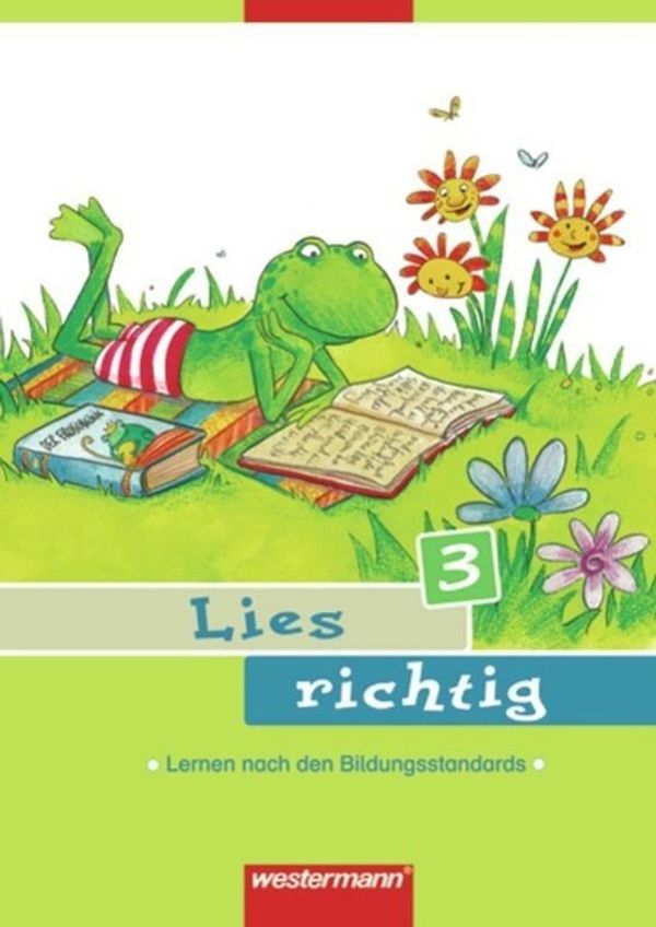 Lies richtig 3. Arbeitsheft (Buch)