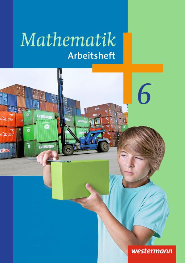 Mathematik 6. Arbeitshefte. Sekundarstufe 1 (Buch)
