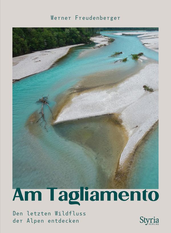Am Tagliamento - Werner Freudenberger (Buch)