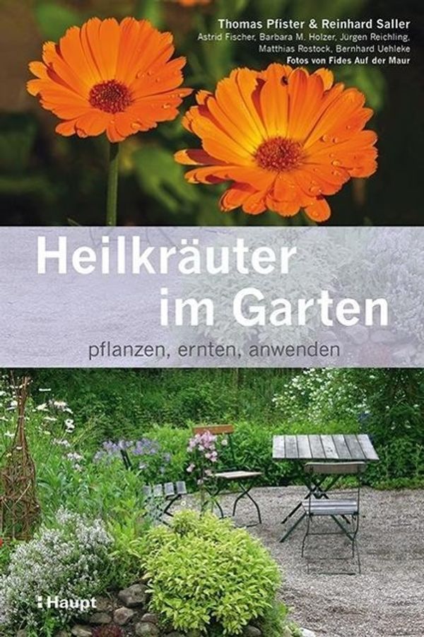 Heilkräuter im Garten - Thomas Pfister (Buch)