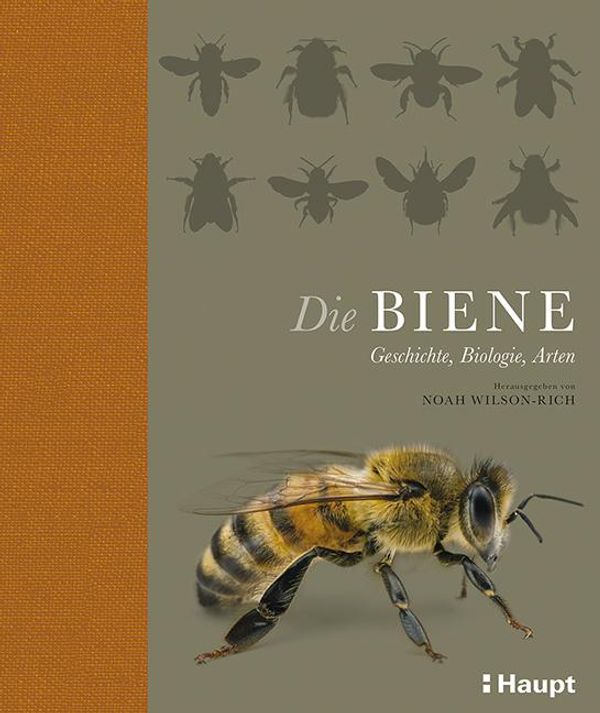 Die Biene (Buch)