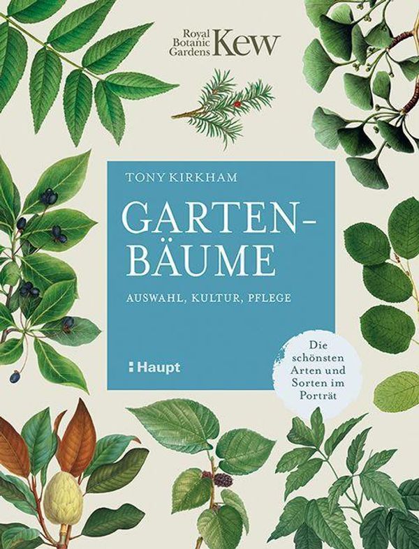 Gartenbäume - Tony Kirkham (Buch)