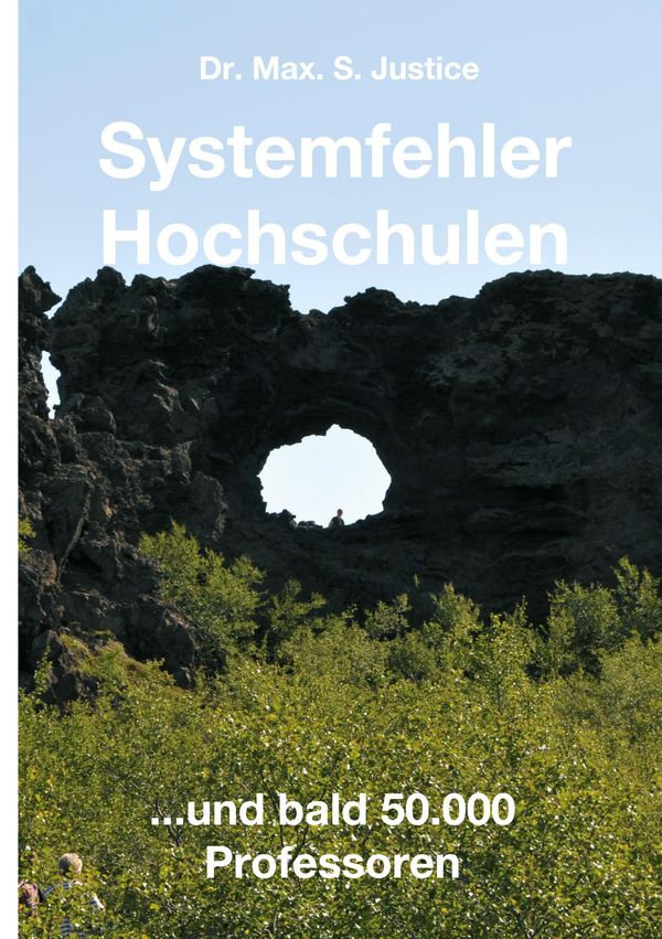 Systemfehler Hochschulen - Max. S. Justice (Buch)