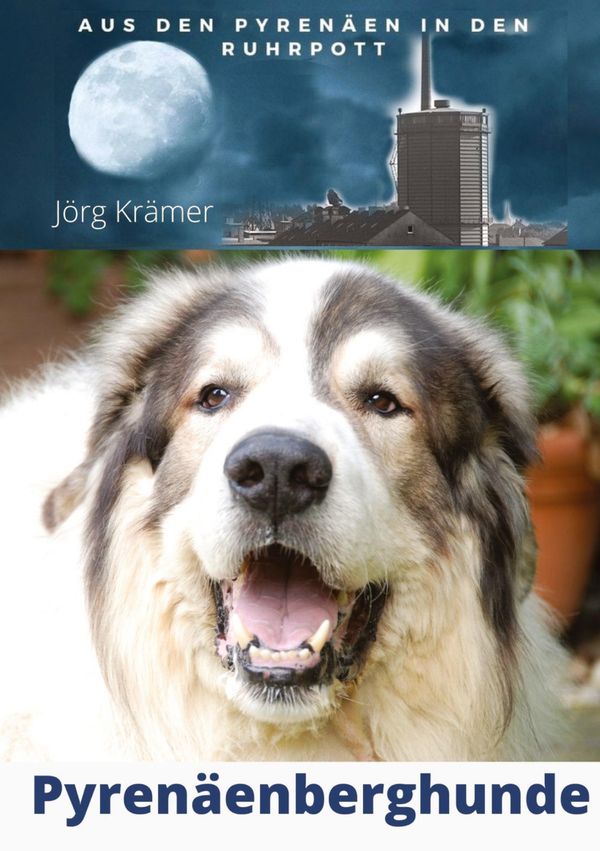 Pyrenäenberghund - Aus den Pyrenäen in den Ruhrpott - Jörg Krämer