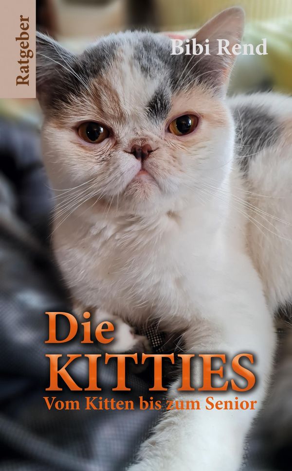 Die Kitties - Bibi Rend (Buch)