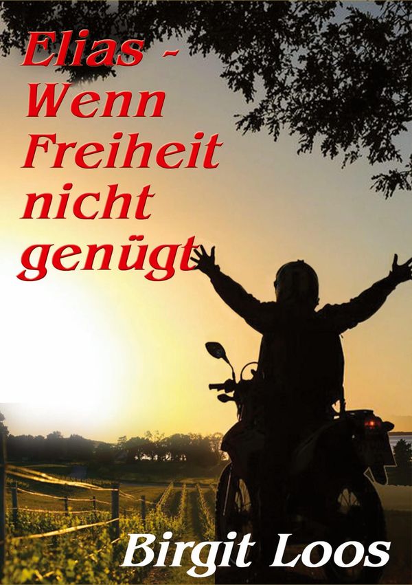 Elias - wenn Freiheit nicht genügt - Birgit Loos (Buch)