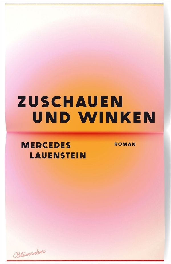 Zuschauen und Winken - Mercedes Lauenstein (Buch)