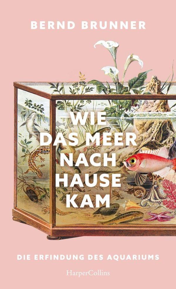 Wie das Meer nach Hause kam. Die Erfindung des Aquariums (Buch)