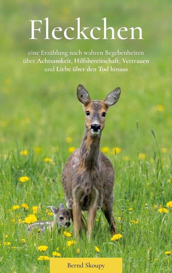 Fleckchen - Bernd Skoupy (Buch)