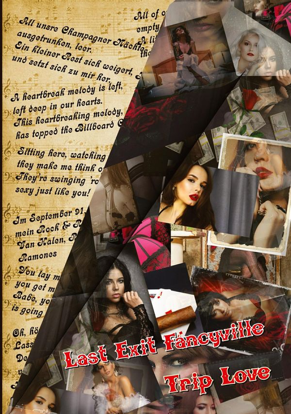 Last Exit Fancyville - Trip Love (Buch)