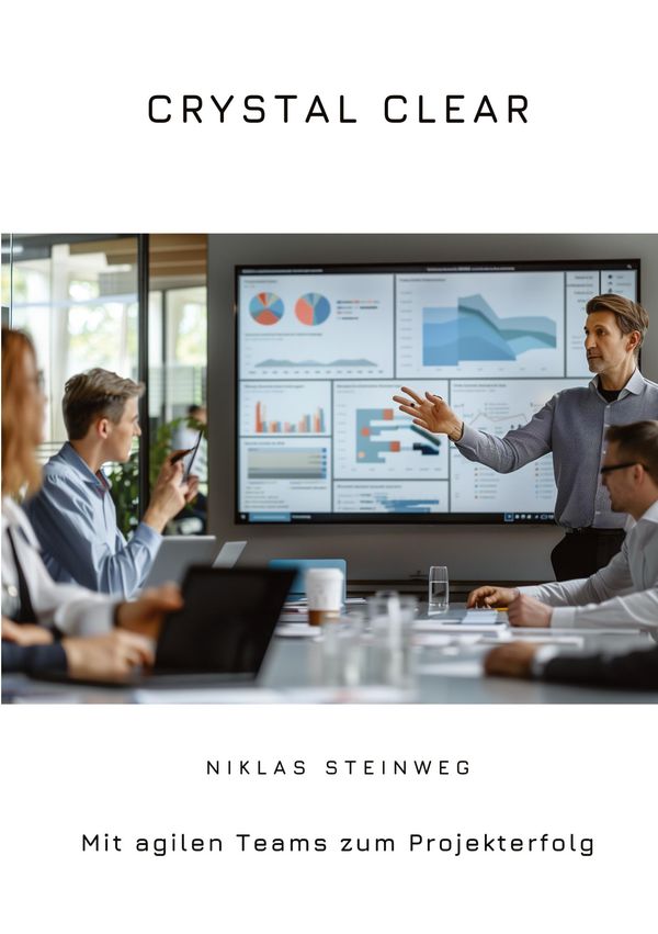Crystal Clear - Niklas Steinweg (Buch)