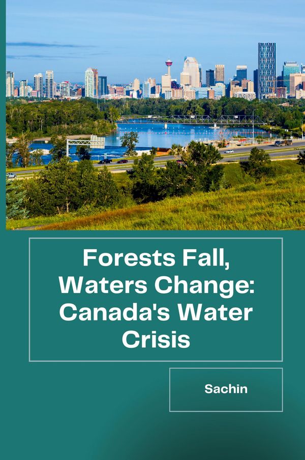 Forests Fall, Waters Change: Canadas Water Crisis - Sachin (Buch)
